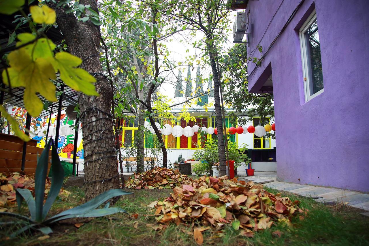 Zgarbi Hostel Tbilisi Ngoại thất bức ảnh